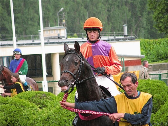 image_23.jpg