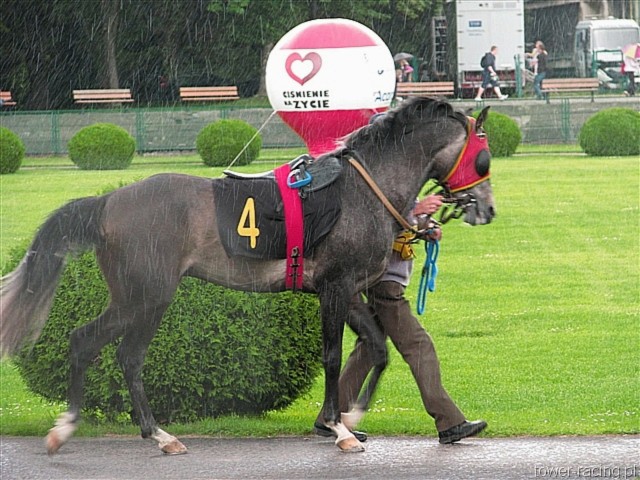 image_3.jpg