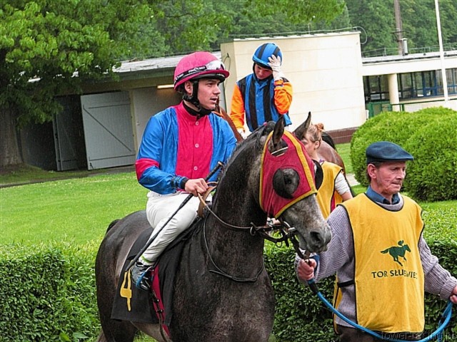 image_31.jpg