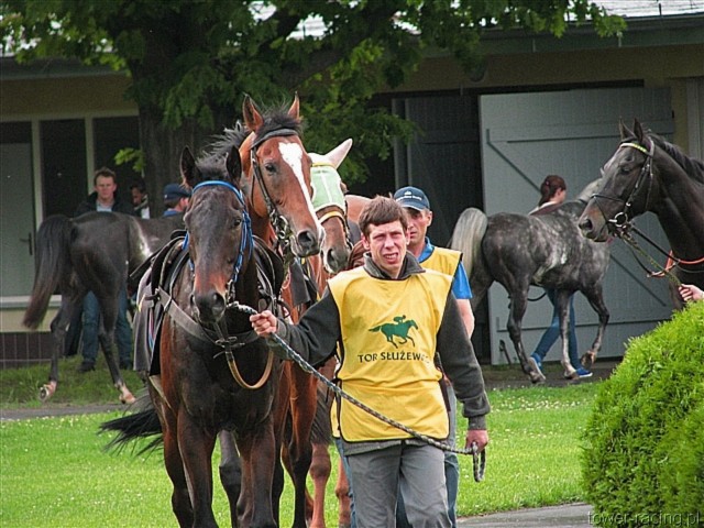 image_33.jpg
