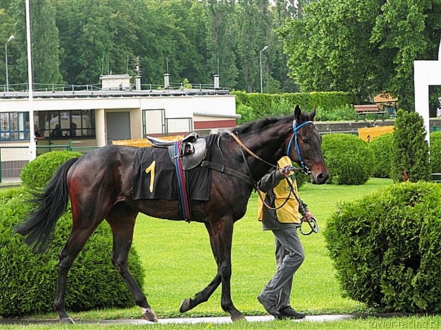image_34.jpg