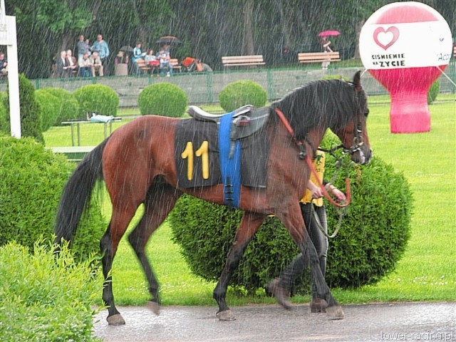 image_4.jpg