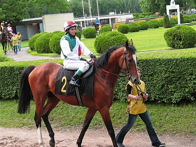 image_44.jpg