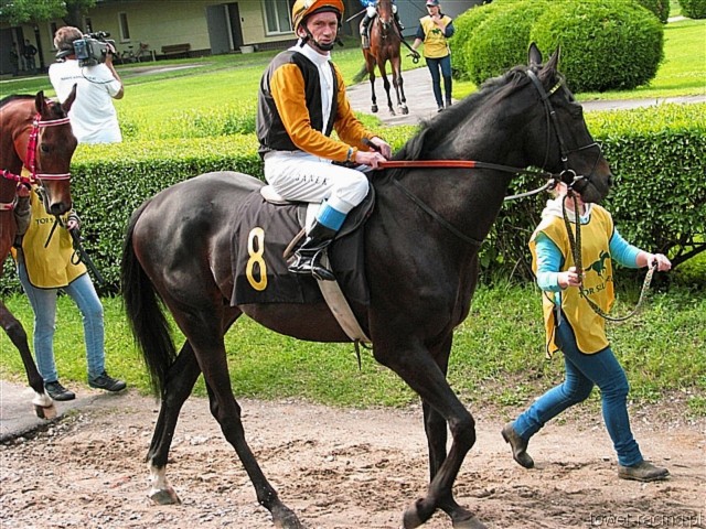 image_48.jpg