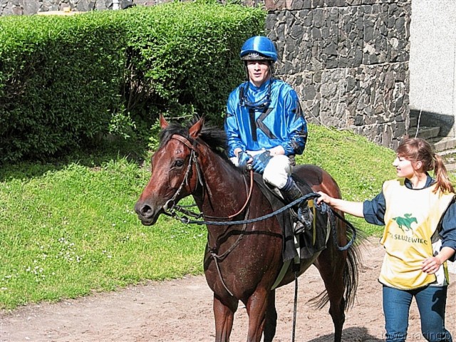 image_52.jpg