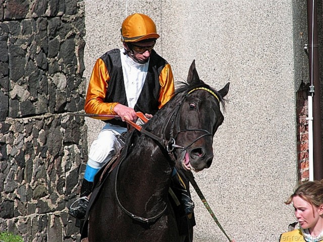 image_53.jpg