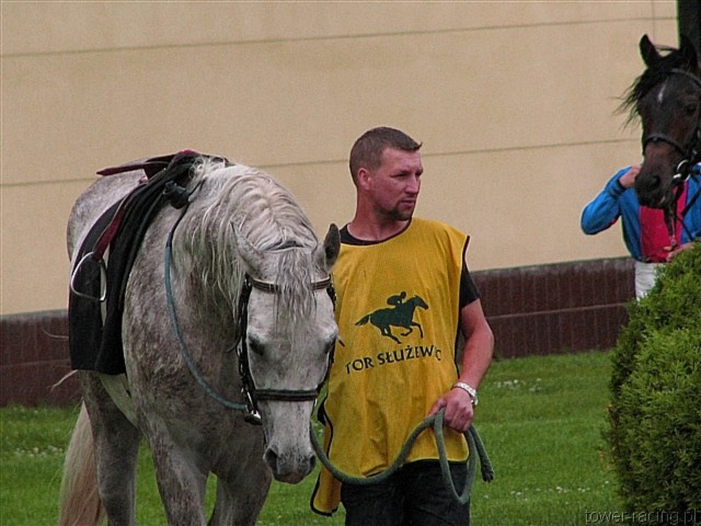 image_6.jpg