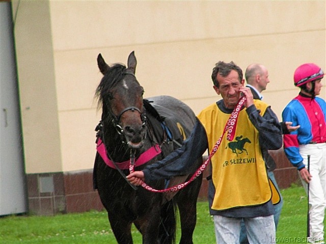 image_7.jpg