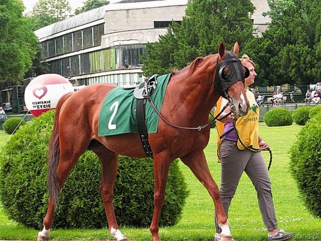 image_74.jpg