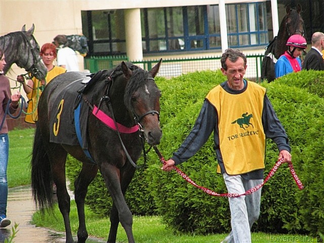 image_8.jpg