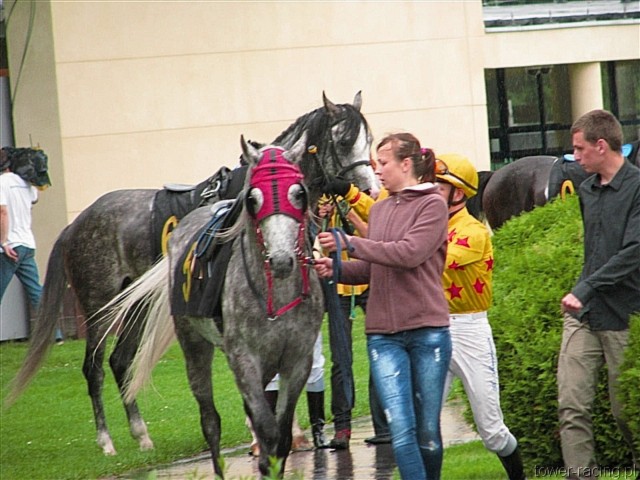 image_9.jpg