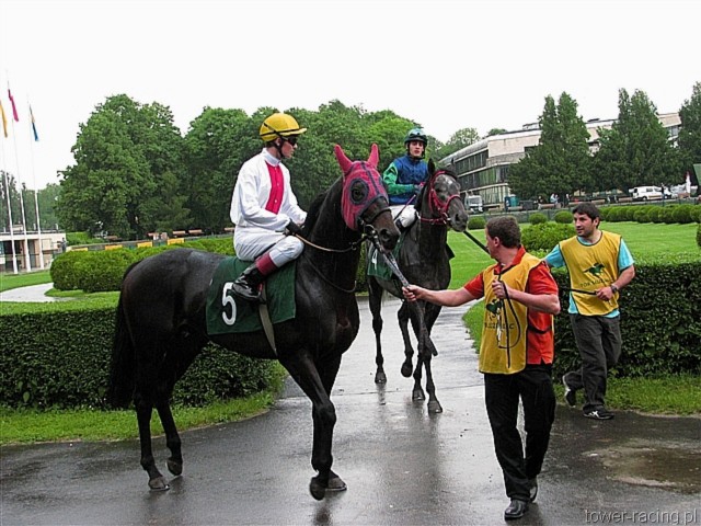 image_95.jpg