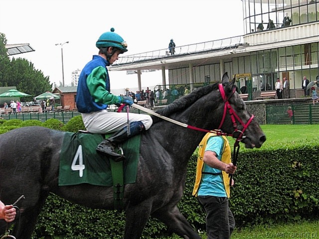 image_96.jpg
