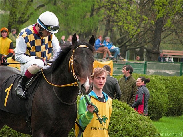 image_10.jpg