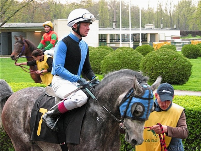 image_101.jpg