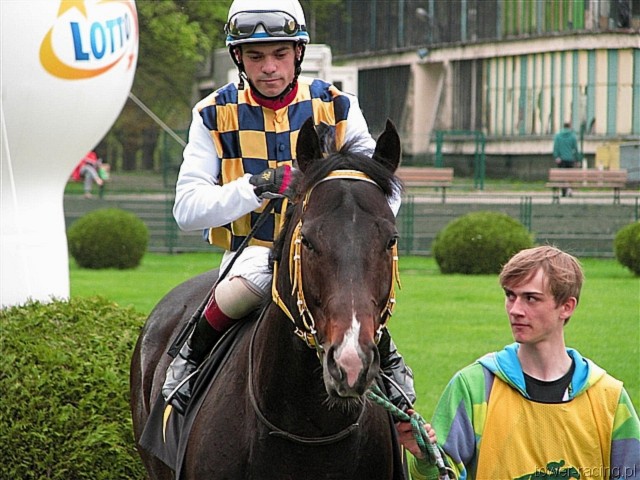 image_12.jpg