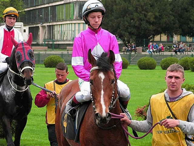 image_15.jpg