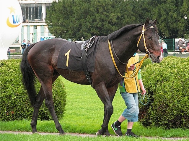 image_2.jpg