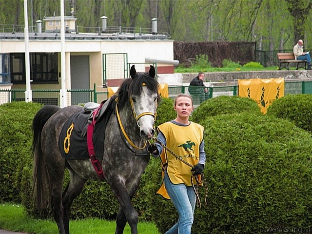 image_22.jpg
