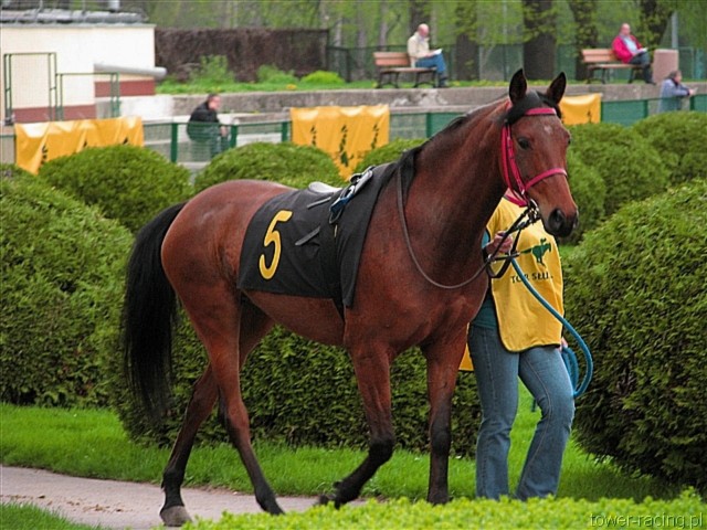 image_24.jpg