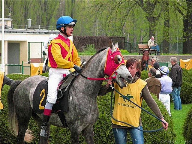 image_27.jpg