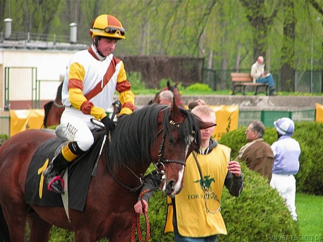 image_28.jpg