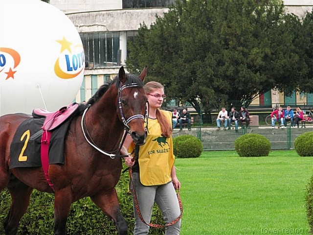image_3.jpg