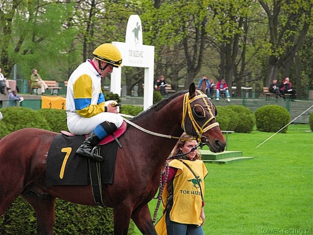 image_31.jpg