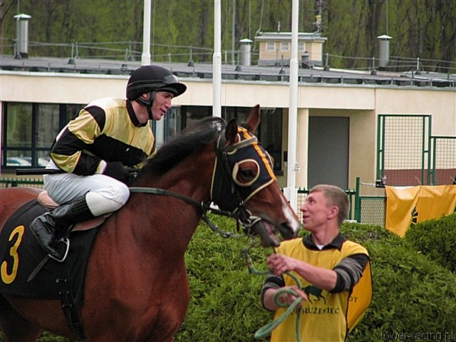 image_33.jpg