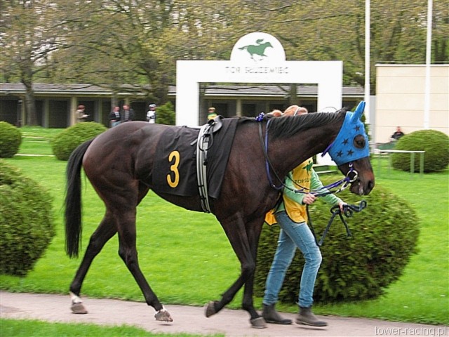image_34.jpg