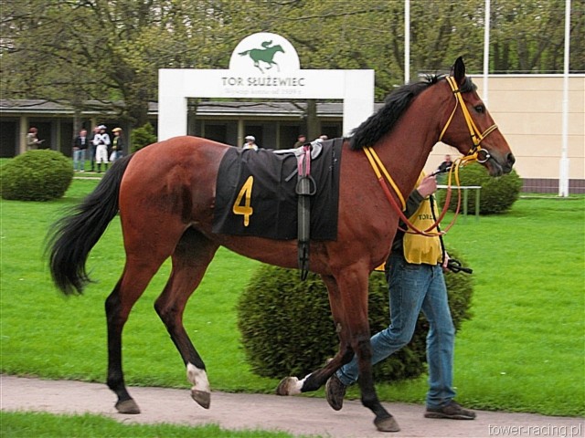 image_35.jpg