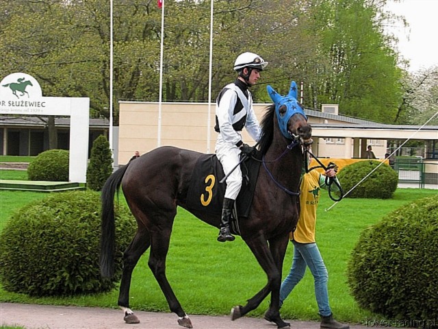 image_44.jpg