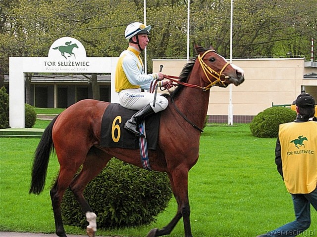 image_45.jpg