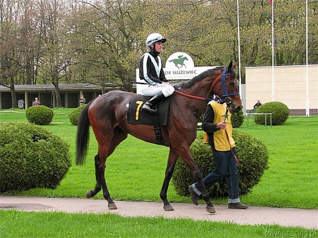 image_46.jpg