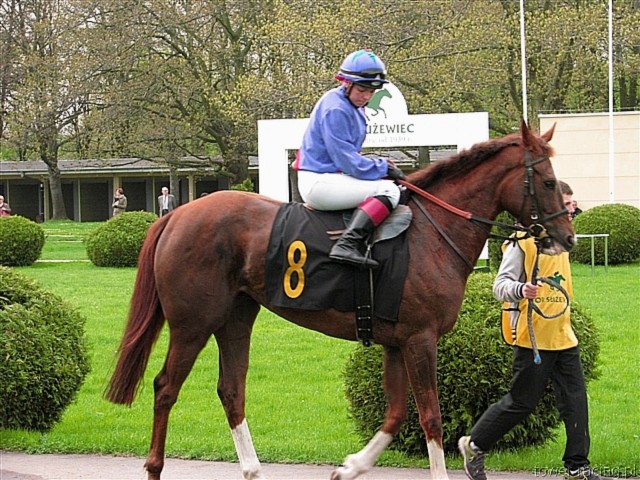 image_47.jpg