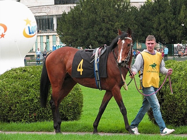 image_5.jpg