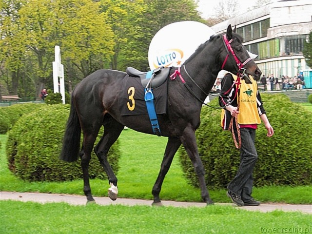 image_51.jpg