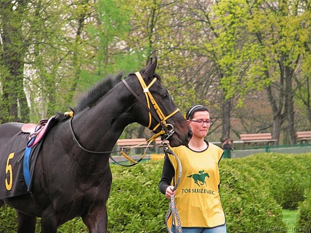 image_53.jpg