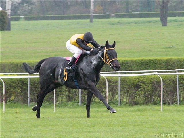 image_58.jpg