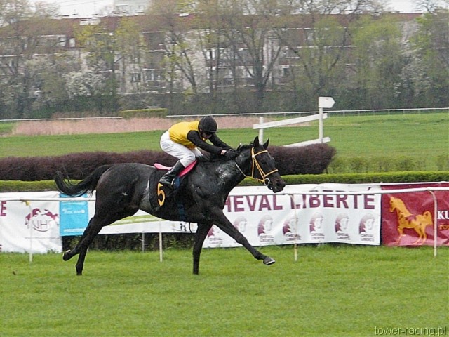 image_59.jpg