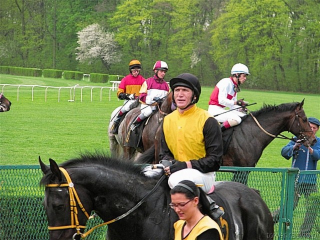 image_62.jpg