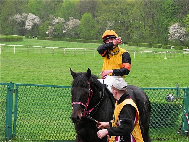 image_65.jpg