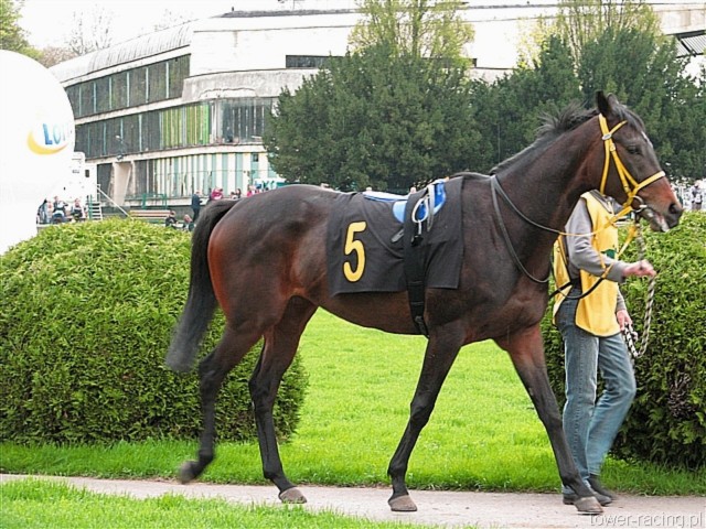 image_78.jpg