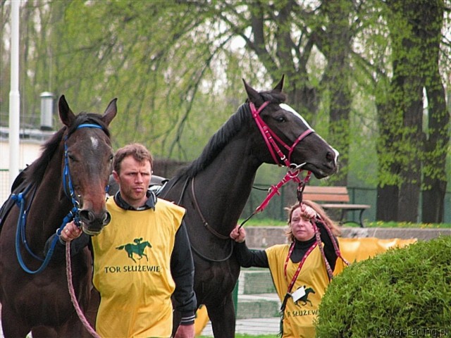 image_79.jpg