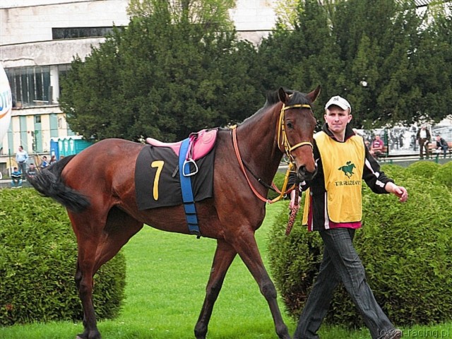 image_8.jpg