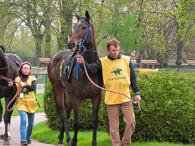 image_80.jpg