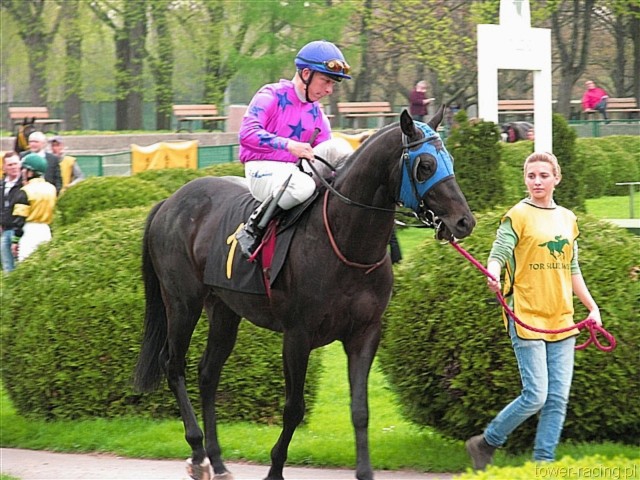 image_84.jpg
