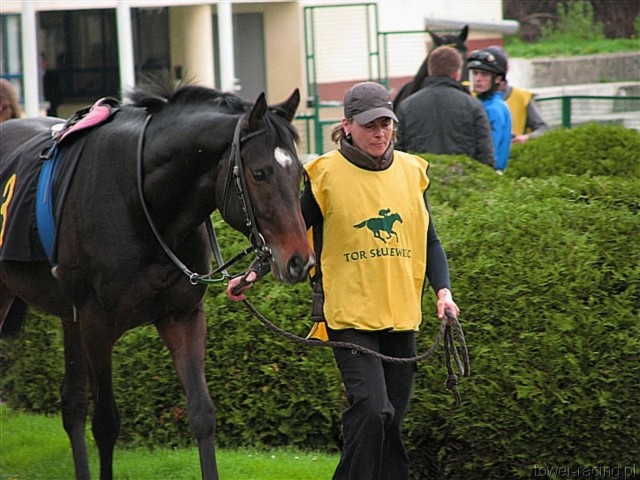 image_85.jpg