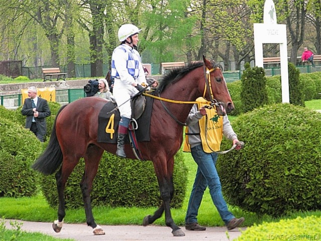 image_86.jpg
