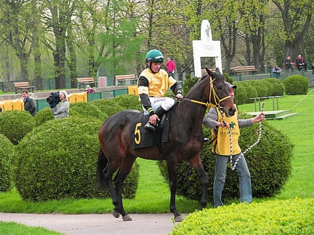 image_89.jpg